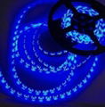 LED strip SMD3528 60LEDS/M Glue dropping IP55, Blue, waterproof