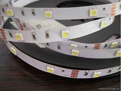 LED strip SMD 5050 30LEDS/M Bare board IP33