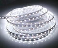 LED strip SMD 5050 60LEDS/M Bare board