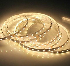 LED strip SMD5050 60LEDS/M Bare board IP33