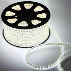 220V LED strip SMD3528-60LEDS/M IP68