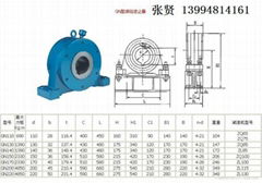 山西太原GN220滚柱逆止器