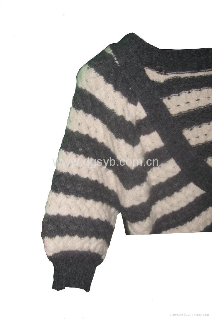 Europe plus size in winter or autumn sweater 4