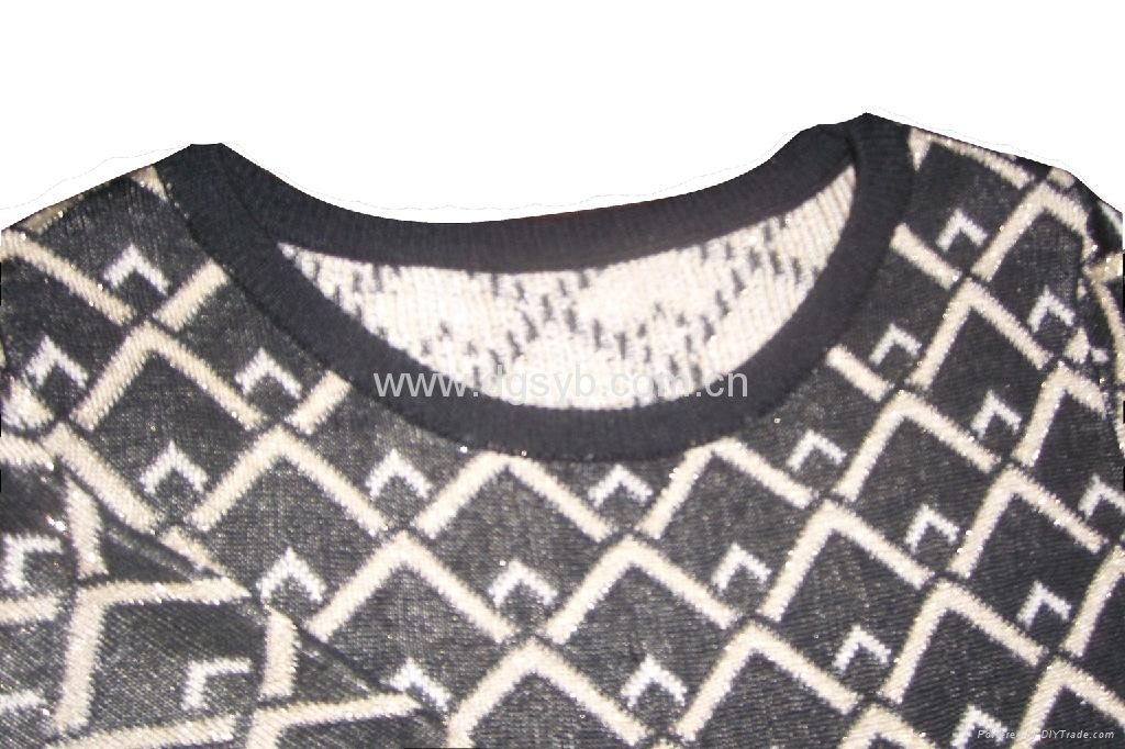 Europe plus size in winter or autumn sweater 2