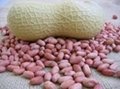 Natural Cheap Peanuts (Groundnut) From