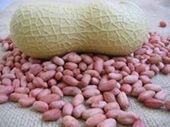 Natural Cheap Peanuts (Groundnut) From Africa