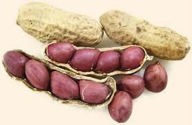 Natural Cheap Peanuts (Groundnut) From Africa 3