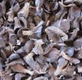 Natural Cheap Palm Kernel Shell From