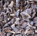 Natural Cheap Palm Kernel Shell From Africa!