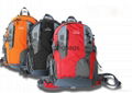 Stock 40L Climbing bag