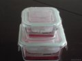 Pyrex Heat-resistant  glass food container/ glass storage set  2