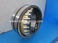 spherical roller bearing 1