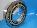 angular contact ball bearing 1