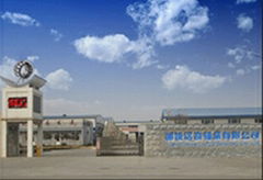 LIAOCHENG LUOQI BEARING COMPANY LIMITED