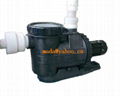 swimming pool, pond, fountain, SPA water pump 1