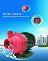 swimming pool, pond, fountain, SPA water pump 4