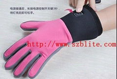 Electrical Heating Glove