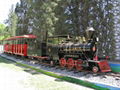 Wonderful entertainment theme park electric tourist track train  1