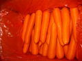 Fresh Carrot  1