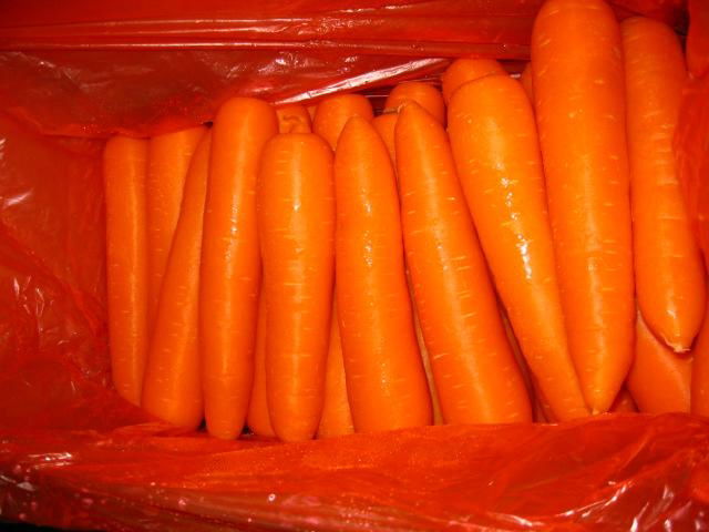 Fresh Carrot  2