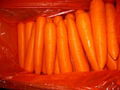 Fresh Carrot  2