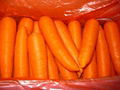 Fresh Carrot  3