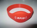 Hot RFID Silicon Wristband 2