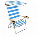 Canopy Beach Chair