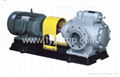 TY2GSZ Conventional Double Suction Pump