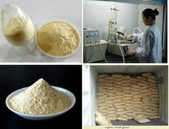 Wheat Gluten Flour