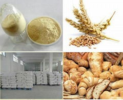 China Vital Wheat Gluten