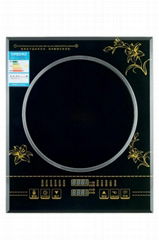 induction cooker