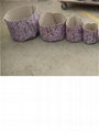 Nonwoven PP Grow Bags