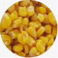 Sweet   Corn  Grain 1