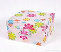 Plastic storage box  3