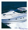 FRP yacht (tourist boat, pedalo,