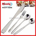Stainless Steel Cutlery Set 2