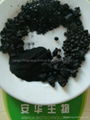 Leonardite humic acid AH Manufactory 3