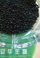 Water soluble Humic acid