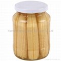 Canned Baby Corn 1