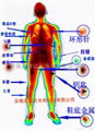 珠宝矿井安检仪