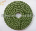 Diamond Polishing Pads 1