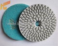 Diamond Polishing Pads 4