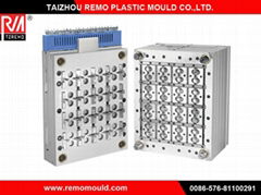 Plastic Injection Mould