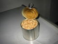 canned salted peanuts 1