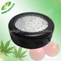 50W LED grow light 1