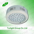 50W LED grow light 5