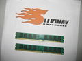 DDR2 1GB memory ram with high quality