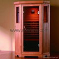 Far Infrared Sauna Steam Room (CE