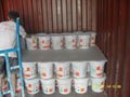 Ready mixed Interior Wall Putty 1